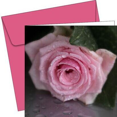 Greeting Card - 6117 - Pink Rose